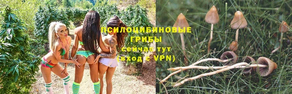 спиды Михайловка