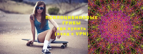 дмт Михайловск