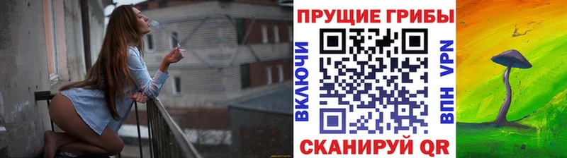 купить   кракен ONION  Псилоцибиновые грибы мухоморы  Щёлково 