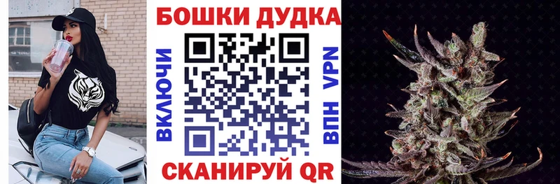MEGA маркетплейс  где купить наркоту  Щёлково  Каннабис сатива 